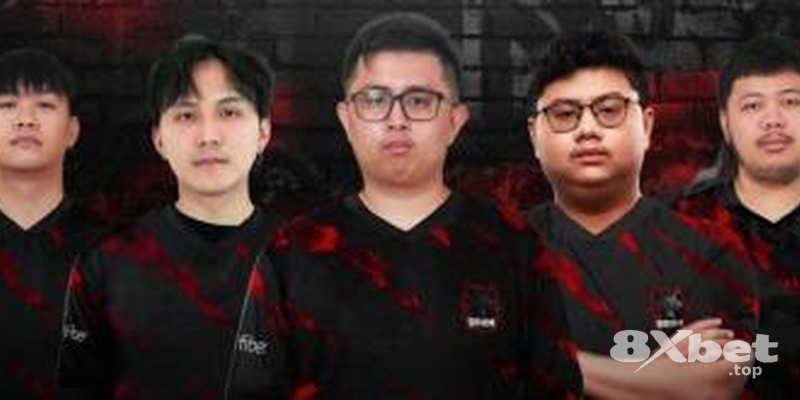 8xbet - link vào f8bet